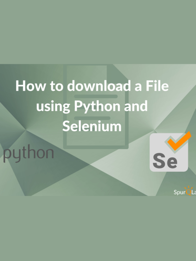 download file from link selenium python